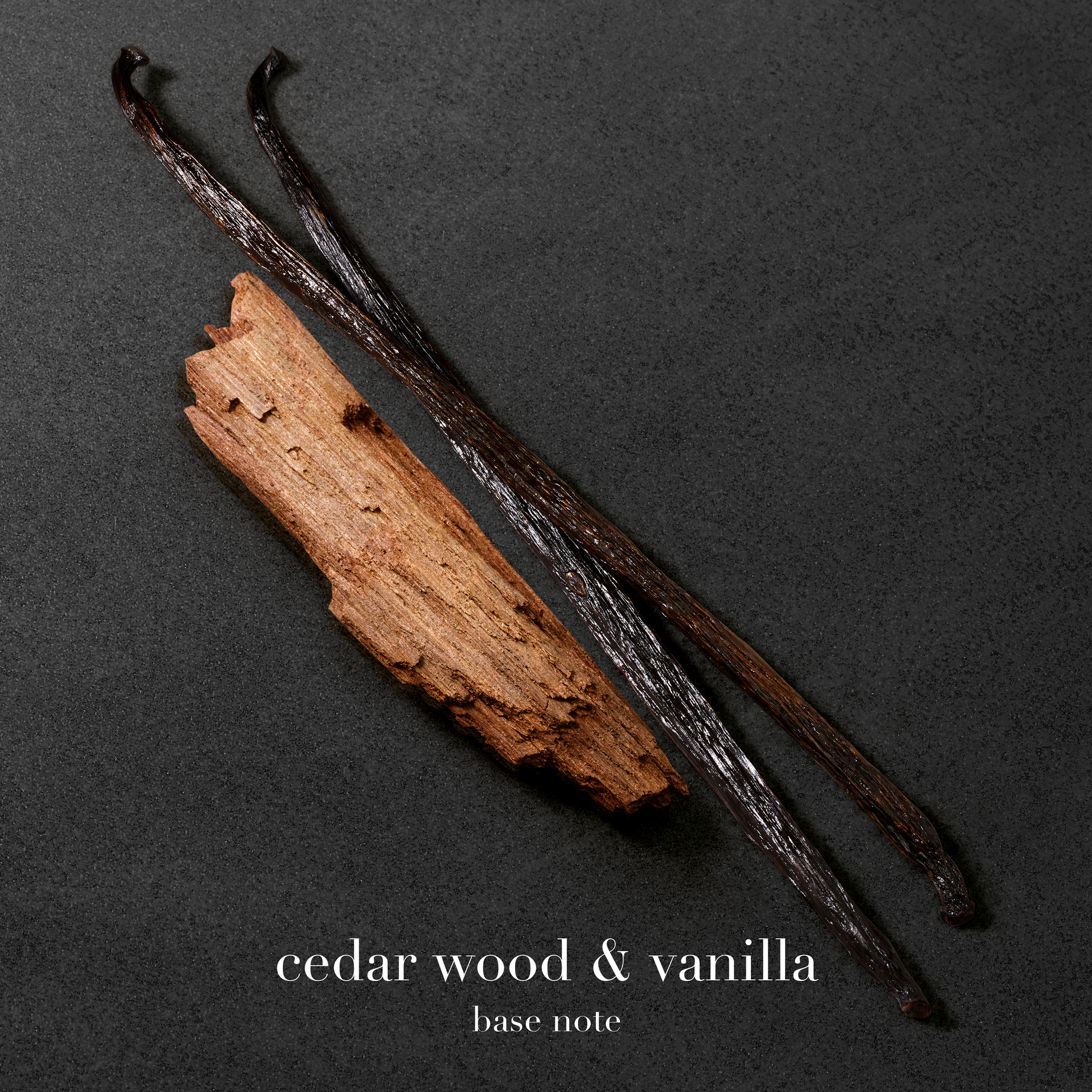 Parfum Homme Stronger With You Absolutely Boisé Ambré Rhum Vanille Cèdre